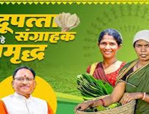 तेन्दूपत्ता संग्राहकों को मिली बड़ी राहत, पहले चरण में 12 हजार से अधिक हितग्राहियों के खातों में पहुंचे 12 करोड़