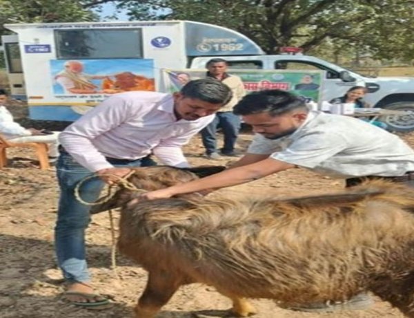 एक कॉल पर घर पहुंच रही पशु चिकित्सा सेवा, ग्रामीण पशुपालकों के लिए वरदान बनी मोबाइल यूनिट