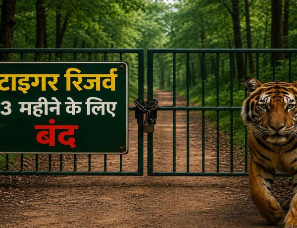 पर्यटकों को बड़ा झटका ! छत्तीसगढ़ में आज से 3 महीने तक बंद रहेंगे टाइगर रिजर्व, राष्ट्रीय उद्यान और अभयारण्य
