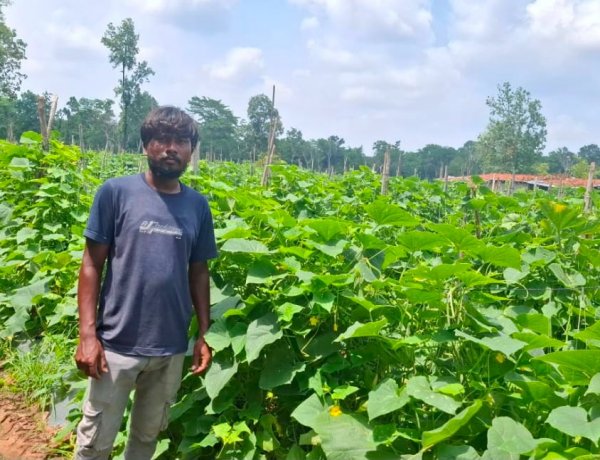 उद्यानिकी विभाग की योजना से बदली कमार कृषक की तकदीर