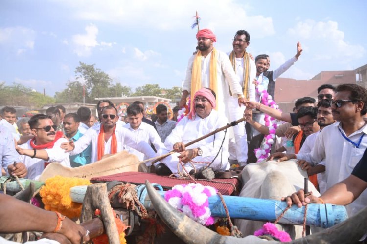 भारतीय राजनीति में पहली बार "डिप्टी सीएम अरुण साव बने विधायक दूल्हे की बैलगाड़ी के सारथी"