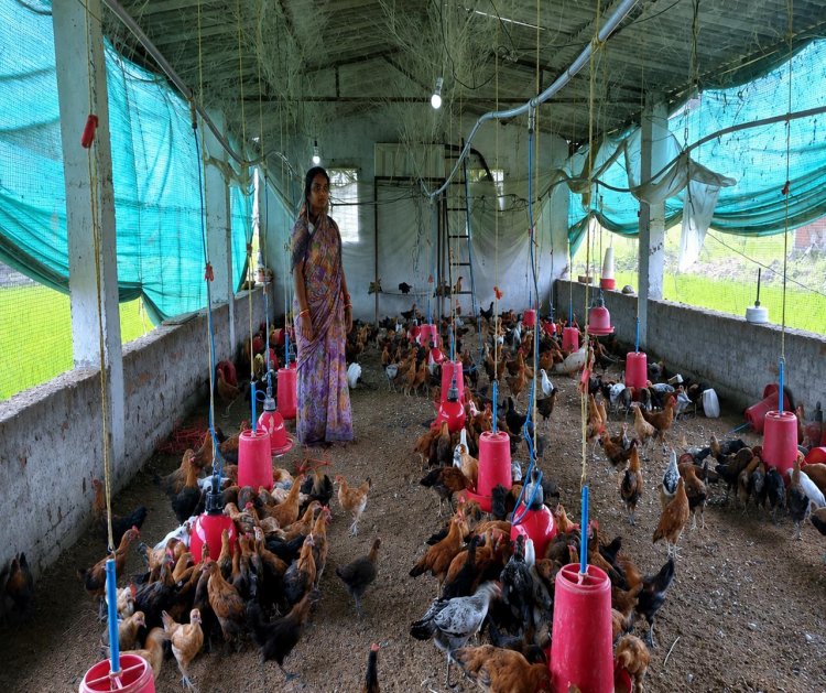 मजदूरी करने वाली रानी यादव बनीं गांव की सफल महिला व्यवसायी