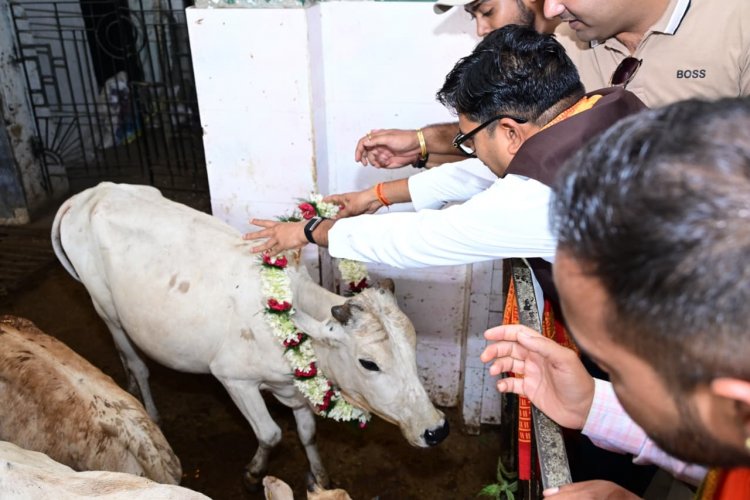 जन्मदिवस के अवसर पर वित्त मंत्री  ओपी चौधरी ने की गौ-सेवा, संरक्षण के प्रयासों को सराहा