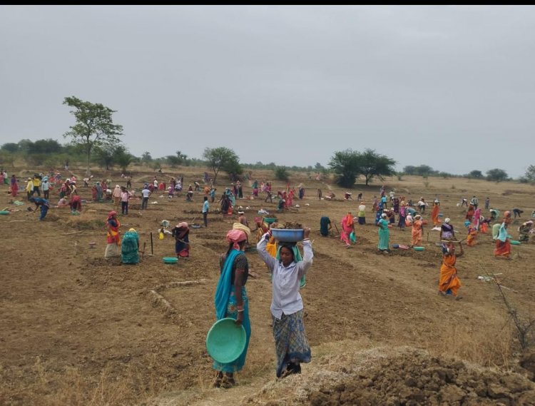 महात्मा गांधी नरेगा से जल संरक्षण का महाअभियान, रोजगार और आजीविका को मिली नई ताकत