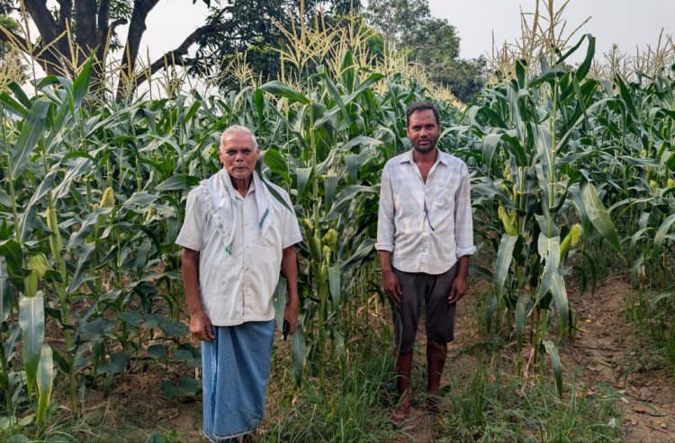 स्वीट कॉर्न की खेती से समृद्धि की नई मिसाल बने किसान रामचंद्र