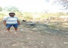 पशुपालन विभाग की ऋण योजना से बदली किसान की किस्मत, मुर्गी पालन से हुआ आर्थिक बदलाव
