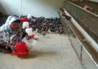 सफलता की नई उड़ान : पारंपरिक मजबूरी से लखपति दीदी बनने तक का सफर