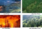 उप मुख्यमंत्री साव ने सहयोग केंद्र में कार्यकर्ताओं के आवेदनों का किया निराकरण