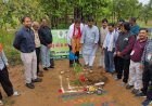 जैव विविधता पार्क कांकेर के माकड़ी में औषधिय पौधों का रोपण- पारंपरिक चिकित्सा को बढ़ावा देने की नई पहल