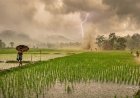 weather update: मानसून पर लगा ब्रेक, छत्तीसगढ़ में अगले 2 दिन बारिश के आसार नहीं, जानिए कब होगी वापसी