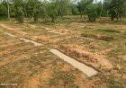 मानसून में तेज़ हुई वन संरक्षण गतिविधियाँ, जल संरक्षण से हरियाली और वन सुरक्षा को मिल रहा नया बल
