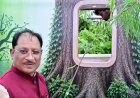 आज लगाया गया हर पौधा आने वाली पीढ़ियों के सुरक्षित भविष्य का आधार बनेगा : मुख्यमंत्री साय