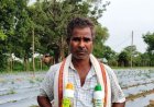 आधुनिक खेती से बदली किसान ग्रीक चंद पटेल की तस्वीर, धान के साथ सब्जी उत्पादन से बढ़ी आय
