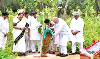 केंद्रीय गृह मंत्री अमित शाह ने ‘एक पेड़ मां के नाम’ अभियान के तहत दिल्ली में 70 लाख पौधे लगाने के मिशन का शुभारंभ किया