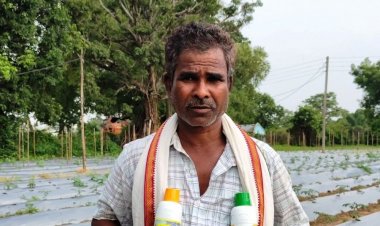 आधुनिक खेती से बदली किसान ग्रीक चंद पटेल की तस्वीर, धान के साथ सब्जी उत्पादन से बढ़ी आय