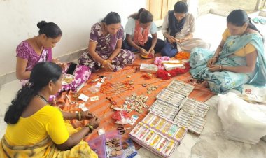 पर्यावरण संरक्षण की अनोखी पहल : सारंगढ़-बिलाईगढ़ में बिहान दीदियों की बीज राखी बिखेरेगी हरियाली