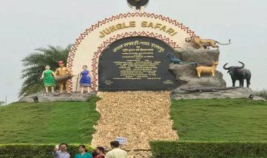 नंदनवन जंगल सफारी बना पर्यटकों की पहली पसंद, वन्यजीव संरक्षण और प्रकृति शिक्षा का अनूठा केंद्र