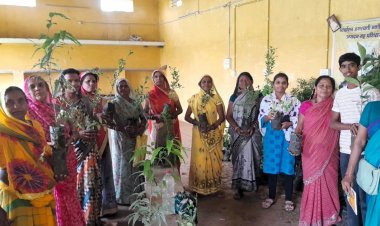मुख्यमंत्री साय के नेतृत्व में पर्यावरण संरक्षण को जनआंदोलन बनाने की अभिनव पहल