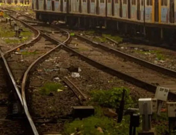 दर्दनाक हादसा: रेलवे ट्रैक पार कर रहे हिरणों का झुंड ट्रेन की चपेट में आया, 6 की मौत