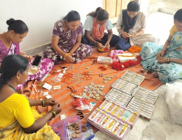 पर्यावरण संरक्षण की अनोखी पहल : सारंगढ़-बिलाईगढ़ में बिहान दीदियों की बीज राखी बिखेरेगी हरियाली