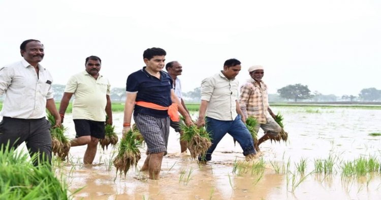 “माटी से मेरा रिश्ता कल भी था, आज भी है…” खेत में रोपा लगाते दिखे मंत्री टंक राम वर्मा