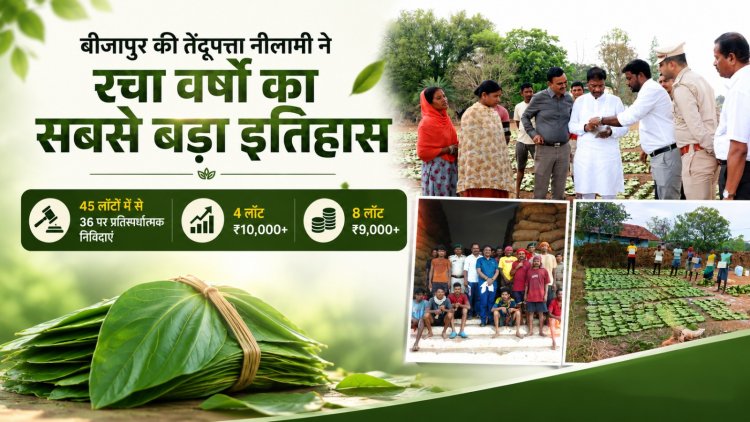 बीजापुर ने रचा इतिहास : तेंदूपत्ता नीलामी में वर्षों का सर्वाधिक रिकॉर्ड मूल्य, वन मंत्री केदार कश्यप ने दी बधाई