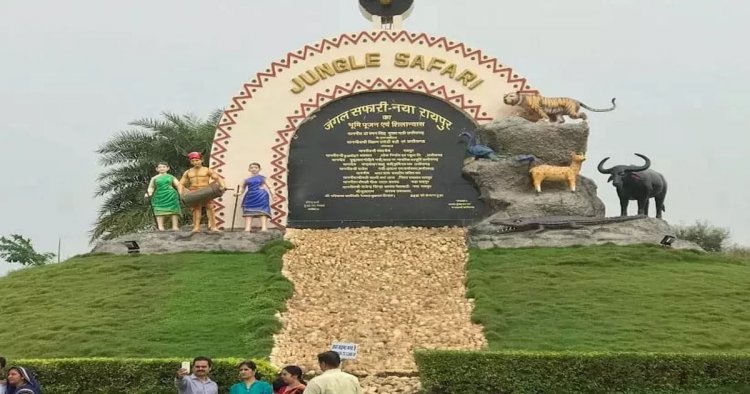 नंदनवन जंगल सफारी बना पर्यटकों की पहली पसंद, वन्यजीव संरक्षण और प्रकृति शिक्षा का अनूठा केंद्र