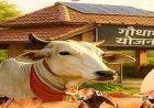 निराश्रित गौवंश संरक्षण के लिए राज्य सरकार की बड़ी पहल, गौधाम योजना का बढ़ रहा दायरा