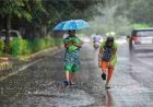 Weather Update: छत्तीसगढ़ में फिर एक्टिव होगा मानसून, कई जिलों में झमाझम बारिश के आसार