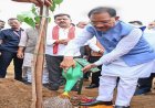 मुख्यमंत्री विष्णुदेव साय ने अपनी माँ के नाम पर लगाया पीपल का पौधा, वन महोत्सव-2026 का हुआ शुभारंभ