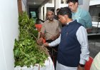औषधि पौधों की खेती किसानों की आय बढ़ाने का प्रभावी माध्यम: वन मंत्री  केदार कश्यप