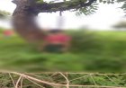CG : जंगल में युवती का शव मिलने से मचा हड़कंप, पेड़ पर लटका मिला शव, जांच में जुटी पुलिस