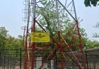 दशकों बाद ग्रामीणों तक पहुंचा नेटवर्क, सुकमा के सुदूर वनांचल टेटरई में लगा बीएसएनएल टावर