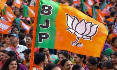 BREAKING : BJP में बड़ा संगठनात्मक फेरबदल, नितिन नबीन ने नए पदाधिकारियों के नामों का किया ऐलान
