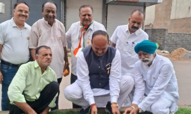 सभापति सूर्यकान्त राठौड़ ने नहरपारा में  किया कदम्ब का पौधा रोपित