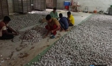 वनांचल में रेशम की चमक, नारायणपुर में टसर योजना से संवर रही ग्रामीणों की तकदीर…..