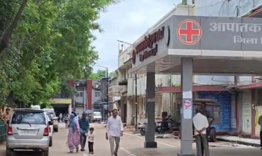 छत्तीसगढ़ में स्वाइन फ्लू की दस्तक : दुर्ग-भिलाई में दो नए मरीज मिले, अब तक 3 केस, अलर्ट पर स्वास्थ्य विभाग