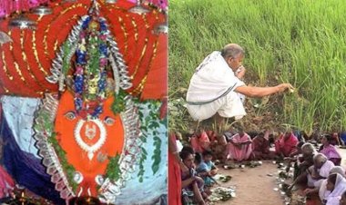 महासमुन्द : नवाखाई (नुआंखाई) ऋषि पंचमी के अवसर पर स्थानीय अवकाश 15 सितंबर को