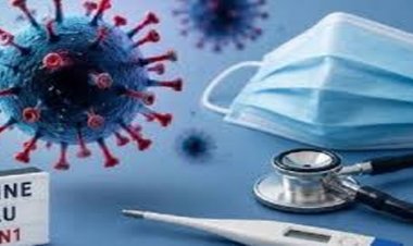 छत्तीसगढ़ में बढ़ रहा H1N1 संक्रमण, 130 मरीजों की पुष्टि; रायपुर में 60 मामले