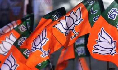 छत्तीसगढ़ BJP में बड़ी नियुक्तियां, युवा मोर्चा समेत 7 मोर्चों के प्रभारी घोषित, देखें पूरी लिस्ट