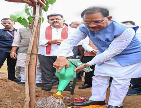मुख्यमंत्री विष्णुदेव साय ने अपनी माँ के नाम पर लगाया पीपल का पौधा, वन महोत्सव-2026 का हुआ शुभारंभ