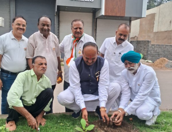 सभापति सूर्यकान्त राठौड़ ने नहरपारा में  किया कदम्ब का पौधा रोपित