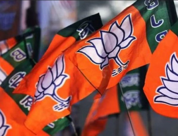 छत्तीसगढ़ BJP में बड़ी नियुक्तियां, युवा मोर्चा समेत 7 मोर्चों के प्रभारी घोषित, देखें पूरी लिस्ट