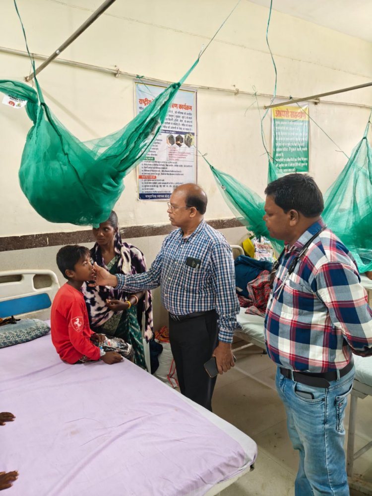 मलेरिया के खिलाफ जंगलों में उतरा स्वास्थ्य महकमा, संवेदनशील इलाकों की परखी तैयारियां