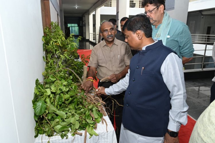 औषधि पौधों की खेती किसानों की आय बढ़ाने का प्रभावी माध्यम: वन मंत्री  केदार कश्यप