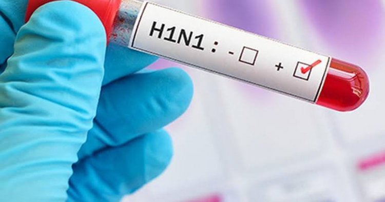 छत्तीसगढ़ के इस जिले में H1N1 की एंट्री से मचा हड़कंप, 2 साल की मासूम हुई संक्रमित; स्वास्थ्य विभाग सतर्क…..