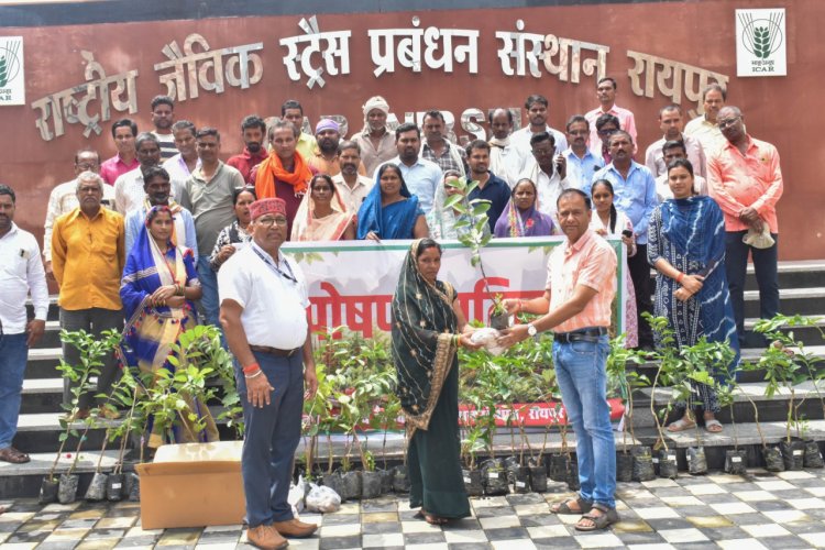 आईसीएआर-एनआईबीएसएम द्वारा ‘पोषण वाटिका’ पर प्रशिक्षण कार्यक्रम आयोजित, 62 किसान हुए लाभान्वित, जिनमें 10 महिला किसान भी शामिल…..