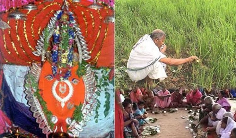 महासमुन्द : नवाखाई (नुआंखाई) ऋषि पंचमी के अवसर पर स्थानीय अवकाश 15 सितंबर को