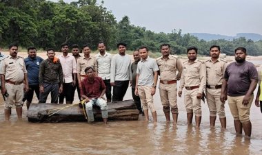 सुपरहिट फिल्म 'पुष्पा' की तर्ज पर सागौन तस्करी : वन विभाग और पुलिस ने अंतरराज्यीय गिरोह के मंसूबों पर फेरा पानी, 3 गिरफ्तार
