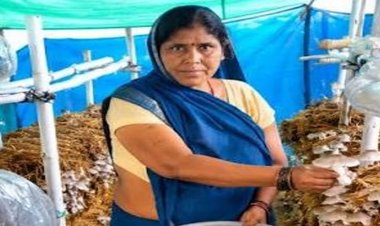 आत्मनिर्भरता की नई मिसाल- खेतों से मशरूम उत्पादन तक मिथिला दीदी ने लिखी सफलता की नई कहानी